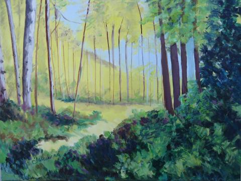 A walk into nature is southing to the soul