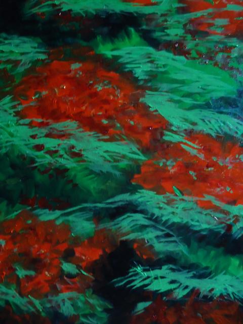 This beautiful flowering tree blooms in Mat to September