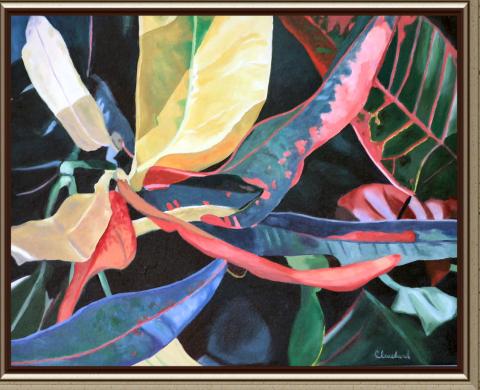 Crotons A colorful plant that grows in tropical climates this one was in my front yard