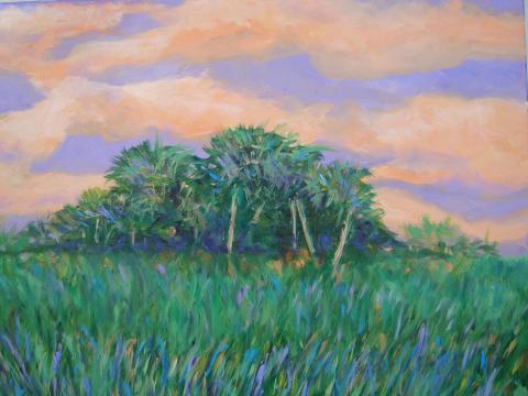 Florida Everglades  oil painting 18"x24"